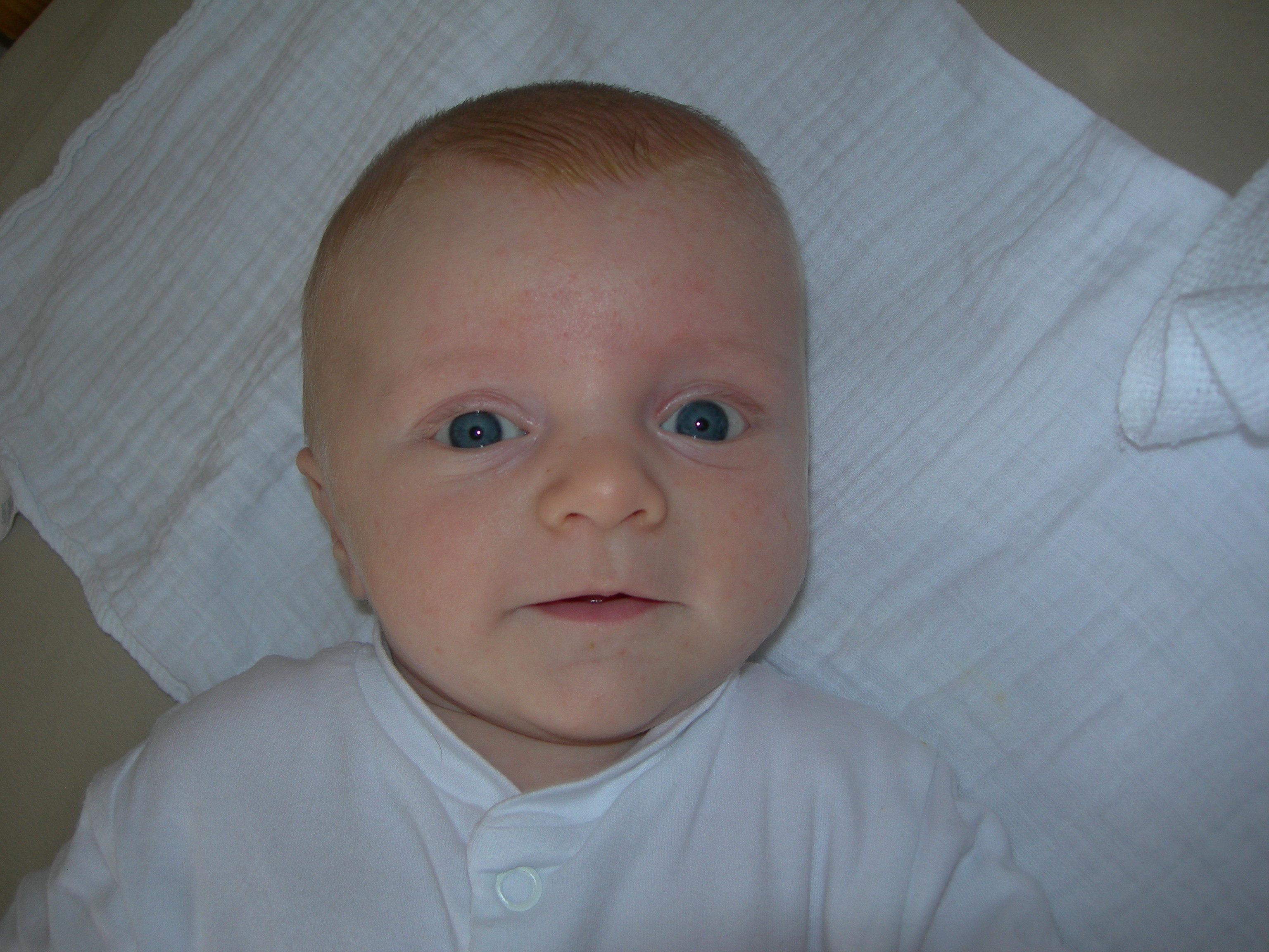 Alexander Frederick (Alex) at 9.5 weeks in his cot