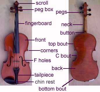 violin